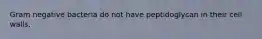 Gram negative bacteria do not have peptidoglycan in their cell walls.