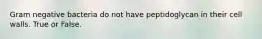 Gram negative bacteria do not have peptidoglycan in their cell walls. True or False.