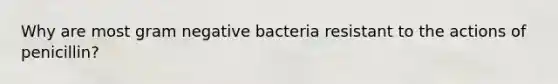 Why are most gram negative bacteria resistant to the actions of penicillin?