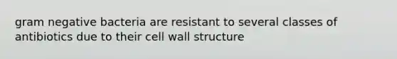 gram negative bacteria are resistant to several classes of antibiotics due to their cell wall structure