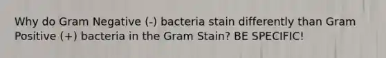 Why do Gram Negative (-) bacteria stain differently than Gram Positive (+) bacteria in the Gram Stain? BE SPECIFIC!