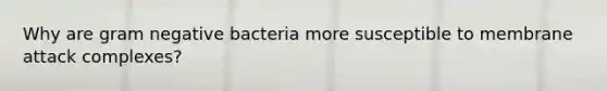 Why are gram negative bacteria more susceptible to membrane attack complexes?
