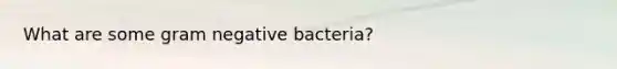 What are some gram negative bacteria?