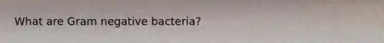 What are Gram negative bacteria?