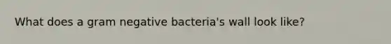 What does a gram negative bacteria's wall look like?