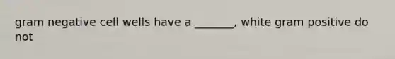 gram negative cell wells have a _______, white gram positive do not