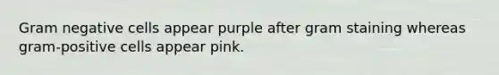 Gram negative cells appear purple after gram staining whereas gram-positive cells appear pink.