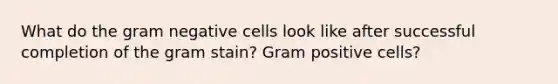 What do the gram negative cells look like after successful completion of the gram stain? Gram positive cells?