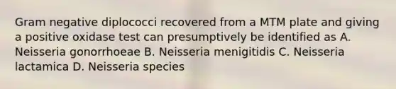 Gram negative diplococci recovered from a MTM plate and giving a positive oxidase test can presumptively be identified as A. Neisseria gonorrhoeae B. Neisseria menigitidis C. Neisseria lactamica D. Neisseria species