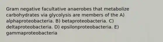 Gram negative facultative anaerobes that metabolize carbohydrates via glycolysis are members of the A) alphaproteobacteria. B) betaproteobacteria. C) deltaproteobacteria. D) epsilonproteobacteria. E) gammaproteobacteria