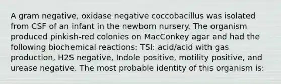 A gram negative, oxidase negative coccobacillus was isolated from CSF of an infant in the newborn nursery. The organism produced pinkish-red colonies on MacConkey agar and had the following biochemical reactions: TSI: acid/acid with gas production, H2S negative, Indole positive, motility positive, and urease negative. The most probable identity of this organism is: