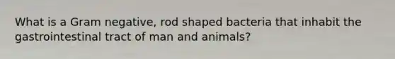 What is a Gram negative, rod shaped bacteria that inhabit the gastrointestinal tract of man and animals?