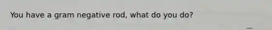 You have a gram negative rod, what do you do?