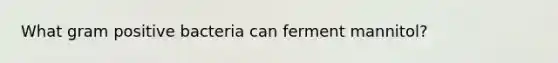 What gram positive bacteria can ferment mannitol?