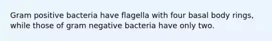 Gram positive bacteria have flagella with four basal body rings, while those of gram negative bacteria have only two.