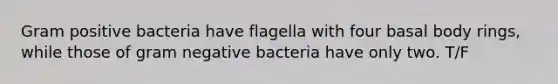 Gram positive bacteria have flagella with four basal body rings, while those of gram negative bacteria have only two. T/F