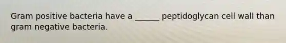 Gram positive bacteria have a ______ peptidoglycan cell wall than gram negative bacteria.