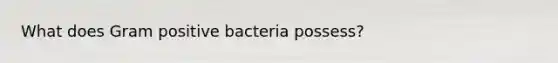 What does Gram positive bacteria possess?