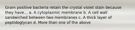 Gram positive bacteria retain the crystal violet stain because they have... a. A cytoplasmic membrane b. A cell wall sandwiched between two membranes c. A thick layer of peptidoglycan d. More than one of the above