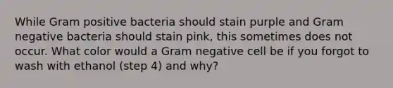 While Gram positive bacteria should stain purple and Gram negative bacteria should stain pink, this sometimes does not occur. What color would a Gram negative cell be if you forgot to wash with ethanol (step 4) and why?