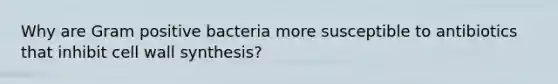 Why are Gram positive bacteria more susceptible to antibiotics that inhibit cell wall synthesis?