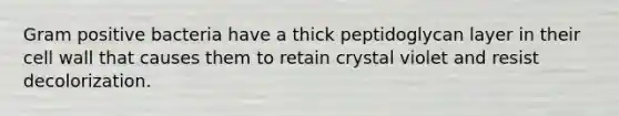 Gram positive bacteria have a thick peptidoglycan layer in their cell wall that causes them to retain crystal violet and resist decolorization.