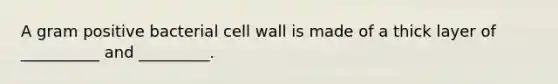 A gram positive bacterial cell wall is made of a thick layer of __________ and _________.