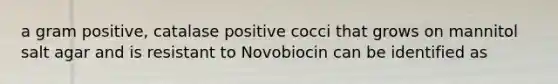 a gram positive, catalase positive cocci that grows on mannitol salt agar and is resistant to Novobiocin can be identified as