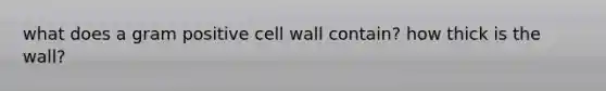 what does a gram positive cell wall contain? how thick is the wall?