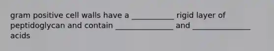 gram positive cell walls have a ___________ rigid layer of peptidoglycan and contain _______________ and _______________ acids