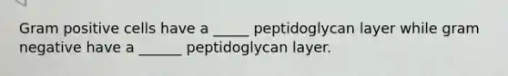 Gram positive cells have a _____ peptidoglycan layer while gram negative have a ______ peptidoglycan layer.