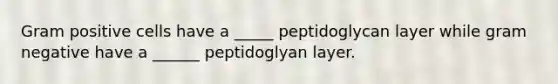 Gram positive cells have a _____ peptidoglycan layer while gram negative have a ______ peptidoglyan layer.