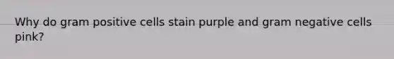 Why do gram positive cells stain purple and gram negative cells pink?