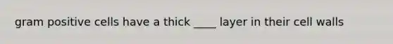 gram positive cells have a thick ____ layer in their cell walls