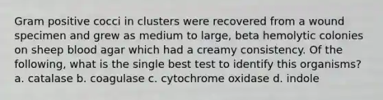 Gram positive cocci in clusters were recovered from a wound specimen and grew as medium to large, beta hemolytic colonies on sheep blood agar which had a creamy consistency. Of the following, what is the single best test to identify this organisms? a. catalase b. coagulase c. cytochrome oxidase d. indole