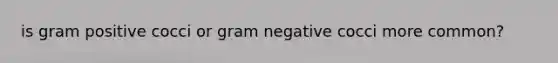 is gram positive cocci or gram negative cocci more common?