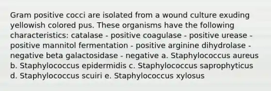 Gram positive cocci are isolated from a wound culture exuding yellowish colored pus. These organisms have the following characteristics: catalase - positive coagulase - positive urease - positive mannitol fermentation - positive arginine dihydrolase - negative beta galactosidase - negative a. Staphylococcus aureus b. Staphylococcus epidermidis c. Staphylococcus saprophyticus d. Staphylococcus scuiri e. Staphylococcus xylosus