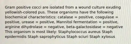 Gram positive cocci are isolated from a wound culture exuding yellowish-colored pus. These organisms have the following biochemical characteristics: catalase = positive, coagulase = positive, urease = positive, Mannitol fermentation = positive, arginine dihydrolase = negative, beta-galactosidase = negative This organism is most likely: Staphylococcus aureus Staph epidermidis Staph saprophyticus Staph sciuri Staph xylosus