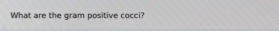 What are the gram positive cocci?