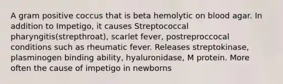 A gram positive coccus that is beta hemolytic on blood agar. In addition to Impetigo, it causes Streptococcal pharyngitis(strepthroat), scarlet fever, postreproccocal conditions such as rheumatic fever. Releases streptokinase, plasminogen binding ability, hyaluronidase, M protein. More often the cause of impetigo in newborns