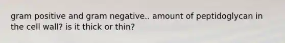 gram positive and gram negative.. amount of peptidoglycan in the cell wall? is it thick or thin?