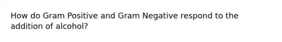 How do Gram Positive and Gram Negative respond to the addition of alcohol?