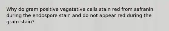 Why do gram positive vegetative cells stain red from safranin during the endospore stain and do not appear red during the gram stain?