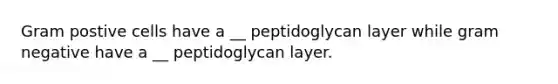 Gram postive cells have a __ peptidoglycan layer while gram negative have a __ peptidoglycan layer.