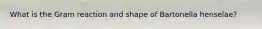 What is the Gram reaction and shape of Bartonella henselae?