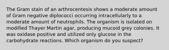 The Gram stain of an arthrocentesis shows a moderate amount of Gram negative diplococci occurring intracellularly to a moderate amount of neutrophils. The organism is isolated on modified Thayer Martin agar, producing mucoid grey colonies. It was oxidase positive and utilized only glucose in the carbohydrate reactions. Which organism do you suspect?