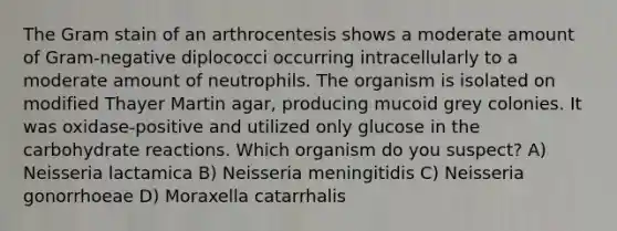 The Gram stain of an arthrocentesis shows a moderate amount of Gram-negative diplococci occurring intracellularly to a moderate amount of neutrophils. The organism is isolated on modified Thayer Martin agar, producing mucoid grey colonies. It was oxidase-positive and utilized only glucose in the carbohydrate reactions. Which organism do you suspect? A) Neisseria lactamica B) Neisseria meningitidis C) Neisseria gonorrhoeae D) Moraxella catarrhalis