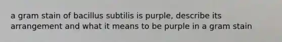 a gram stain of bacillus subtilis is purple, describe its arrangement and what it means to be purple in a gram stain