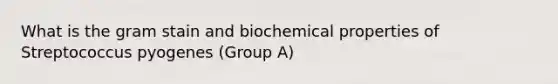 What is the gram stain and biochemical properties of Streptococcus pyogenes (Group A)