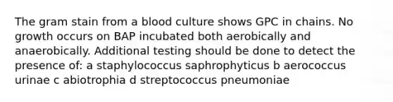 The gram stain from a blood culture shows GPC in chains. No growth occurs on BAP incubated both aerobically and anaerobically. Additional testing should be done to detect the presence of: a staphylococcus saphrophyticus b aerococcus urinae c abiotrophia d streptococcus pneumoniae